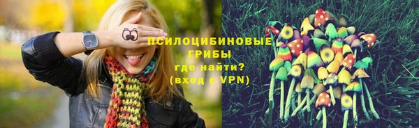 твердый Алексеевка