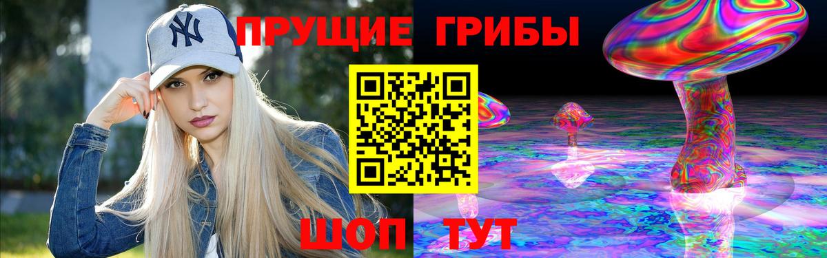 Галлюциногенные грибы Cubensis Ухта