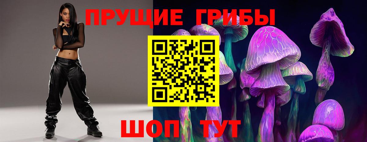 Псилоцибиновые грибы MAGIC MUSHROOMS  Вход с VPN  Ухта  Галлюциногенные грибы Psilocybine cubensis 